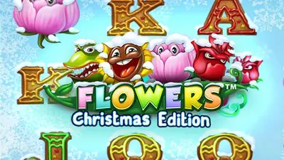 flowers christmas1